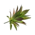 thumbnail image 2 of Inteprter de elegancia con suculentas artificiales ecológicas Planta artificial realista no tóxica Decoración MM215 Otoño, 2 of 6