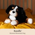 thumbnail image 2 of Gund Randle Bernese Mountain Dog Stuffed Animal, 2 of 4