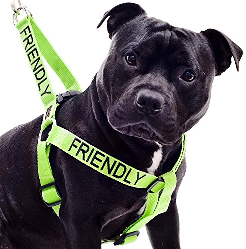 warning dog harness