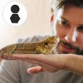 thumbnail image 4 of YSNOOWE 2Ud Comedero Para Reptiles En Material Con Borde Antiescape Color Negro Fácil De Limpiar, 4 of 8