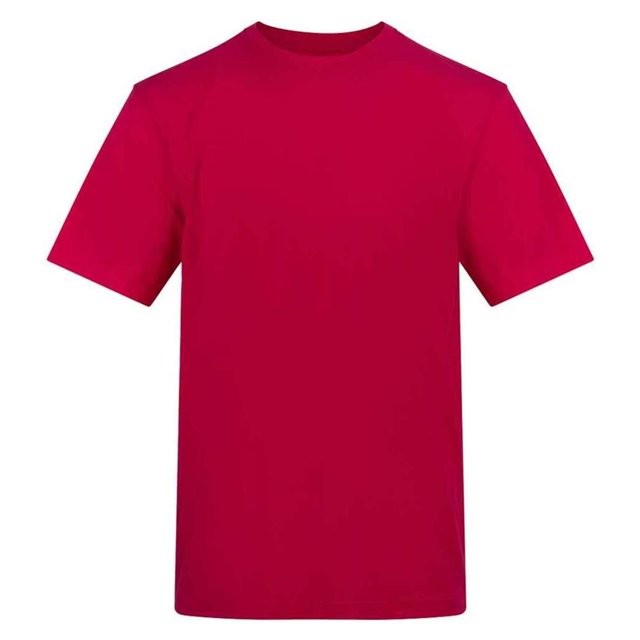 Awdis Adult T-Shirt