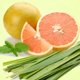 thumbnail image 1 of Grapefruit Lemongrass Energize Fragrance Oil, 1 of 1