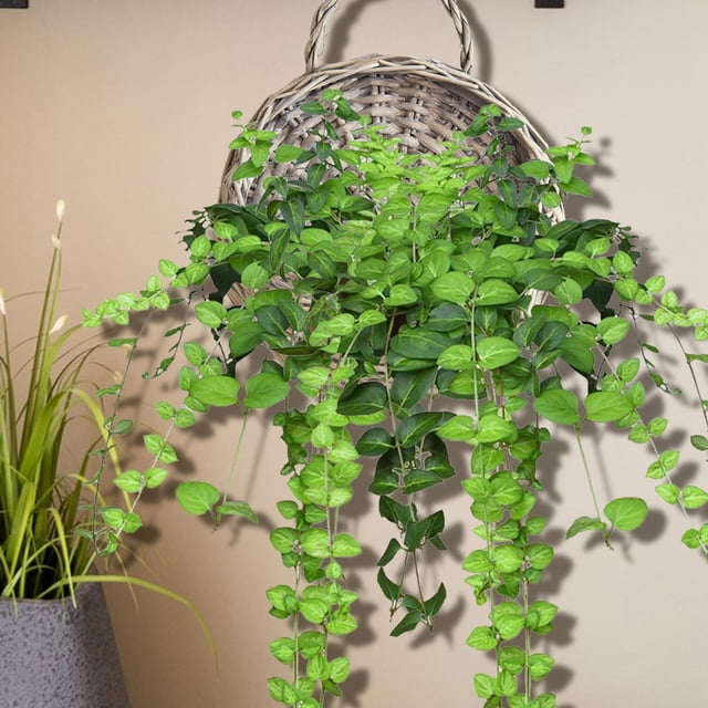 Cesta colgante tejida hecha a mano perfecl maceta para decoración de pared