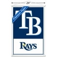 thumbnail image 3 of MLB Tampa Bay Rays - Logo 22 Wall Poster with Magnetic Frame, 22.375" x 34", 3 of 5