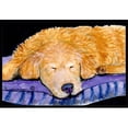 thumbnail image 1 of Carolines Treasures SS8909MAT Golden Retriever Tapis Intérieur Extérieur - 18 x 27 Po., 1 of 4