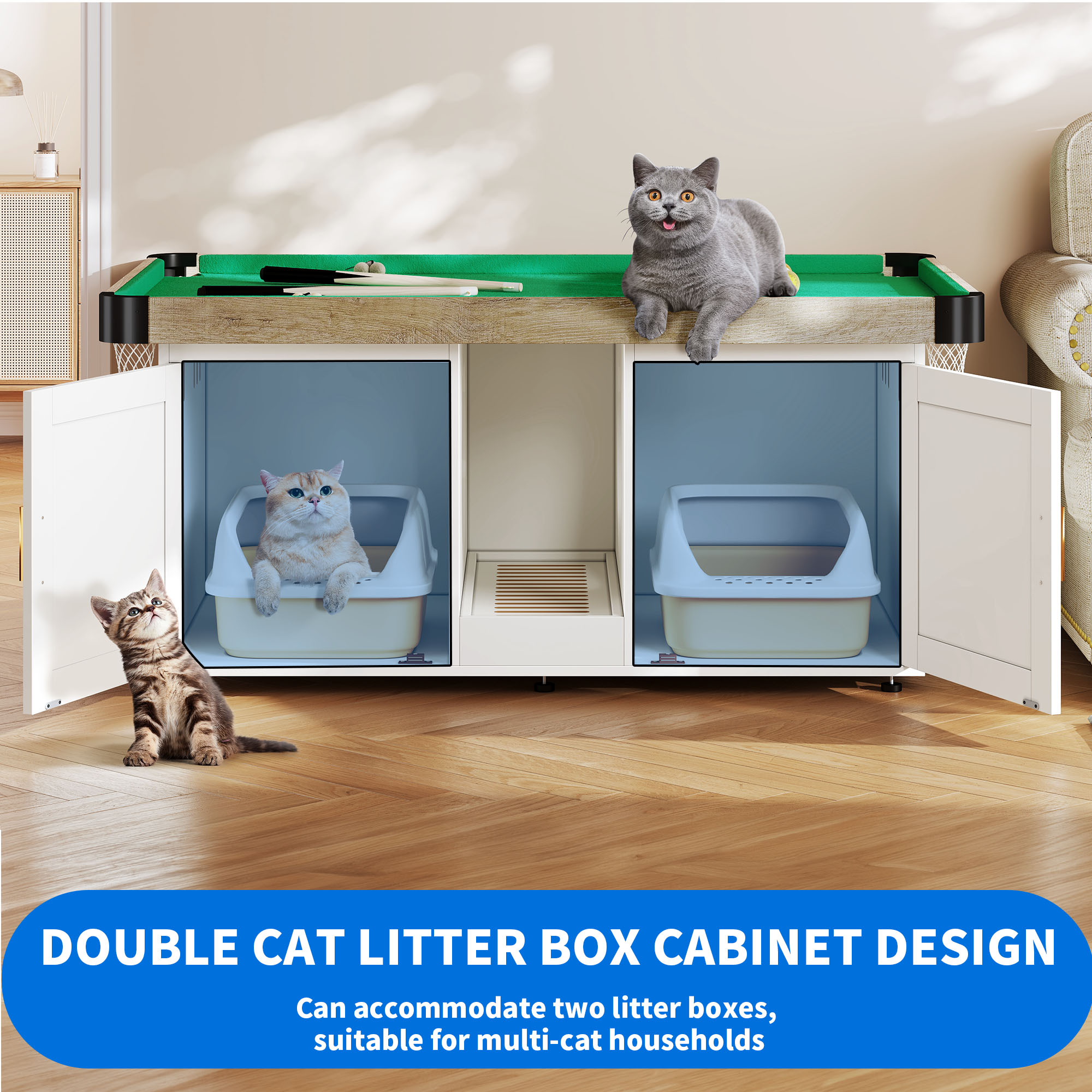 Multiple Cats Can Cats Share A Litter Box Kitten Can Cats Use The