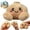 A1-Khaki, variant on Mystery Dumpling Plush With Bamboo Steamer Packaging Soft Squeezable Stuffed Dumpling With Embroidered Facial Details And Round Feet Cute Stuffed Dumpling Squishies Christmas Gifts 3.9 Inch