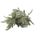 thumbnail image 2 of Cadena De Luz De Aguja De Pino Cadena De Lámpara De Árbol De Pino De Alto Brillo Kit De Luz De Árbol De Pino Led Flexible Cadena De Luz De Árbol Relajante Durable Para La Decoración Del Hogar Eigraketly HA016643-00, 2 of 7