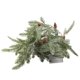 thumbnail image 2 of Cadena De Luz De Aguja De Pino Cadena De Lámpara De Árbol De Pino De Alto Brillo Kit De Luz De Árbol De Pino Led Flexible Cadena De Luz De Árbol Relajante Durable Para La Decoración Del Hogar matsuzay HA016643-00, 2 of 7