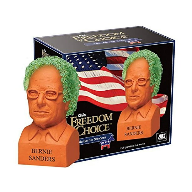 Chia Bernie Sanders Pet, Small, Terra Cotta