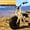 YELLOW, variant on Mini Bike 4-Stroke Gas Prowered Off Road Trail Bike Dirt Mini Motorcycle Ride on 99cc,Mini Dirt Bike Max Speed 18 MPH for 13 ,