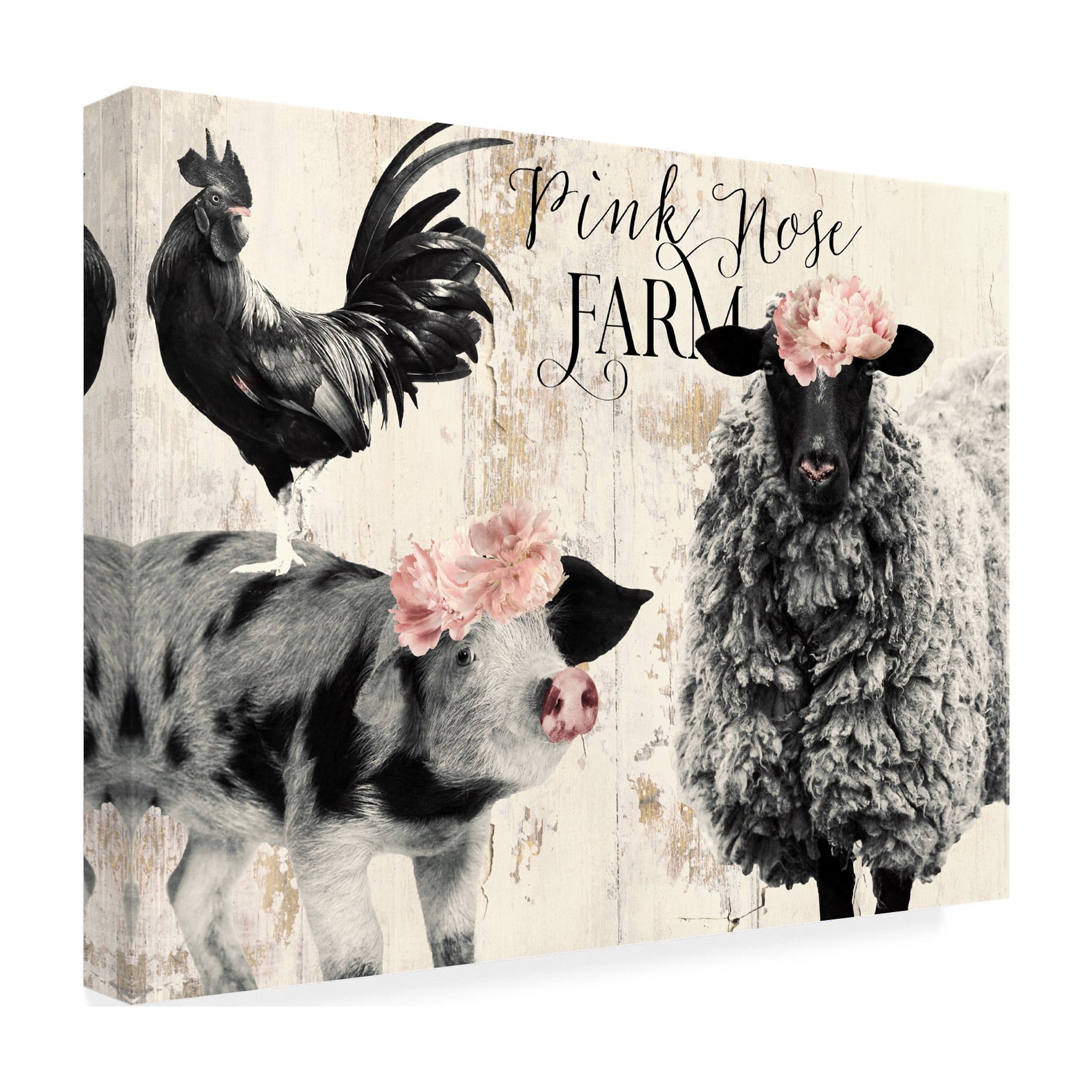 Canvas Wall Art - Sasha 'Pink Nose Farm II' Wall Art for Living Room, Bedroom, or Office DÃ©cor by Trademark Fine Art - 47 x 35 Inches