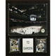 C & I Collectables 1215TDBHK NHL TD Plaque de Jardin Arène – image 1 sur 1