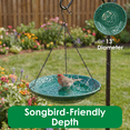thumbnail image 4 of Backyard Essentials Bird Bath Hanging Birdbath Green Songbird for Bird Feeders, 4 of 9