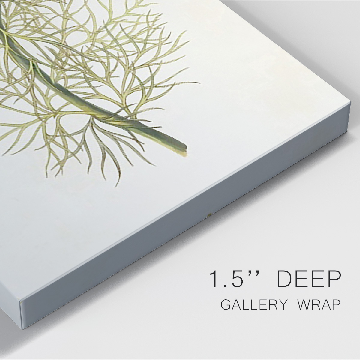 Flowers of the Seasons VII Premium Gallery Wrapped Canvas - Ready to Hang