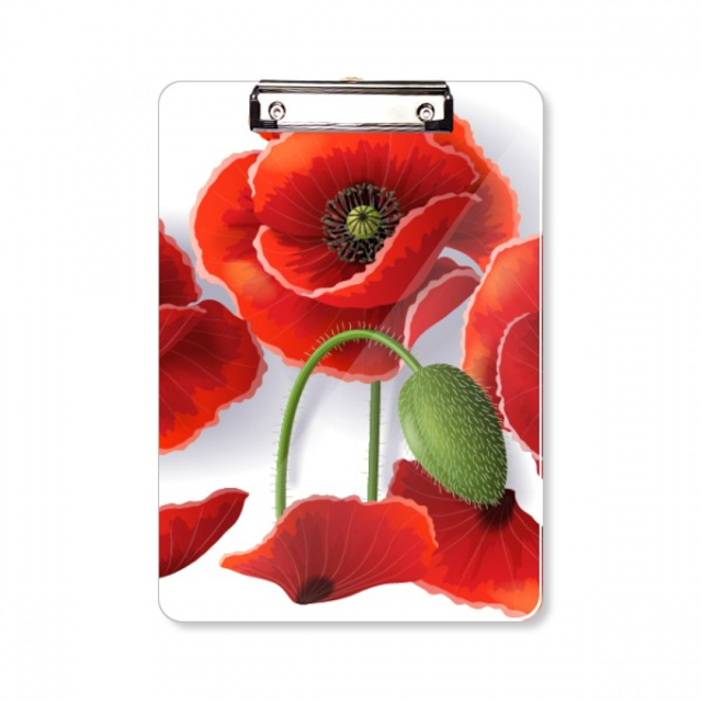 Flores de pétalos de amapola roja pintura fruta Portapapeles Carpeta de escritura Placa de soporte A4 Unbranded