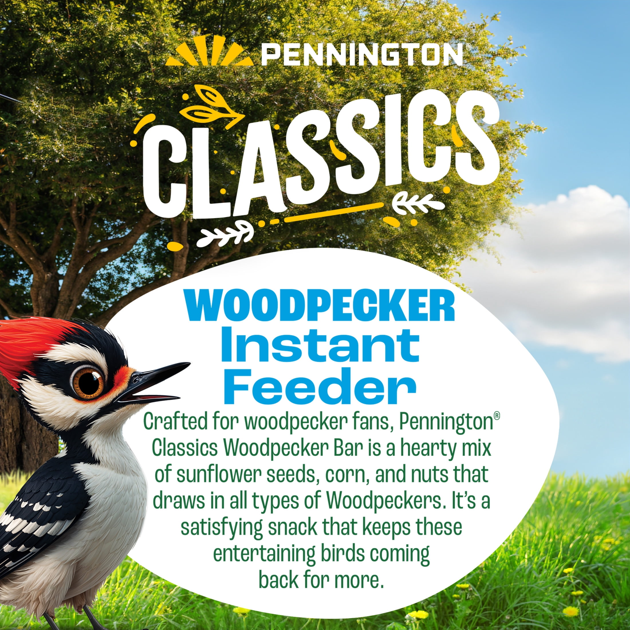 (2 pack) Pennington Woodpecker Bar Wild Dry Bird Feed and Bird Seed Cake, 11 oz., 1 Pack