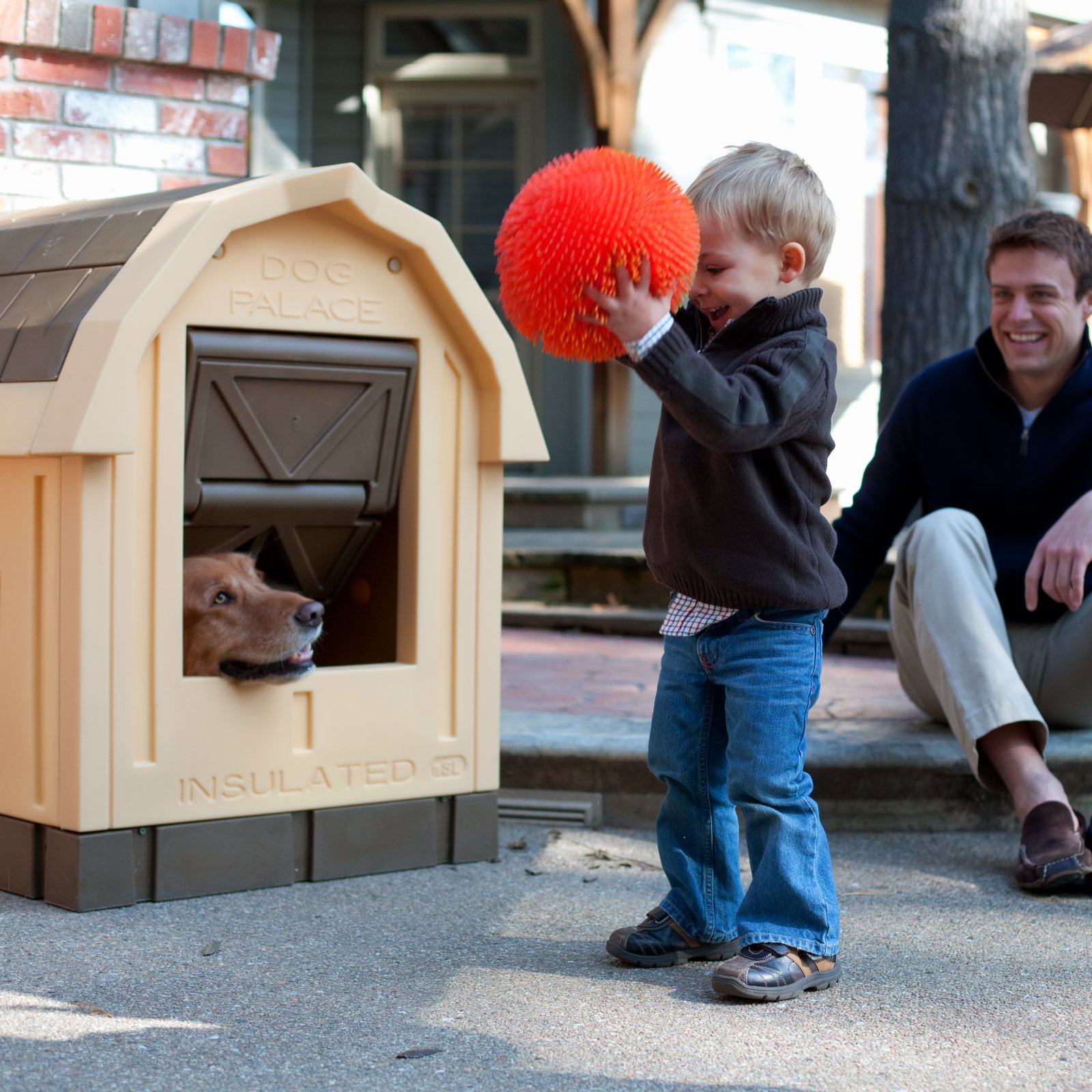 Dog palace insulated top dog house dp20