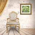 thumbnail image 3 of Gulin, Sylvia 13x12 Gold Ornate Wood Framed with Double Matting Museum Art Print Titled - Washington State-Snoqualmie forest edge in spring with dogwoods blooming, 3 of 4