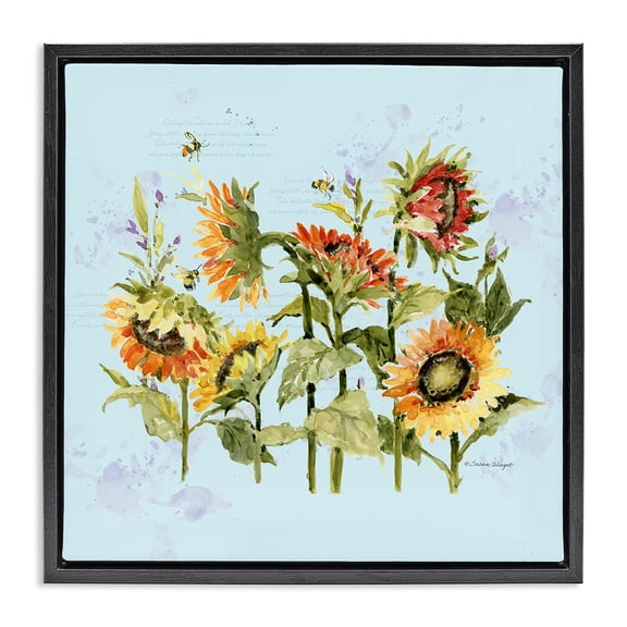 Stupell Industries Cottage Sunflowers & Bee on Blue Black Floating Frame Canvas Art, 18 x 18, by Susan Winget