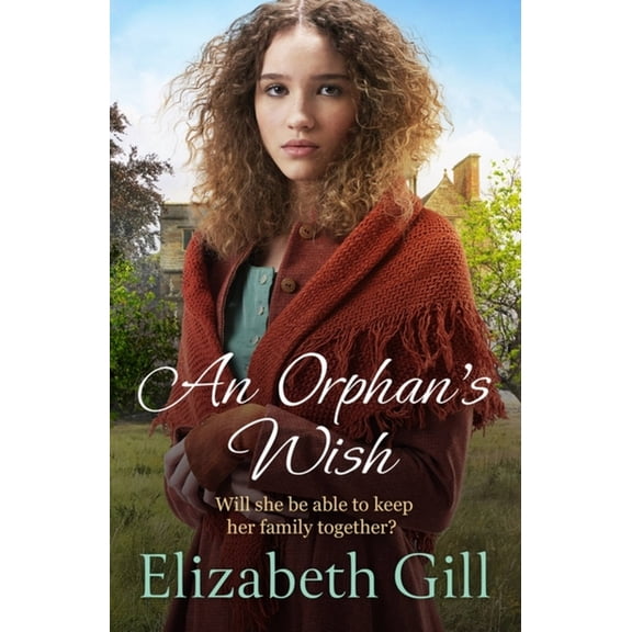 An Orphan's Wish (Paperback)