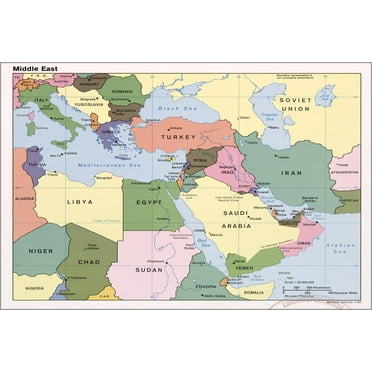 Swiftmaps 24h x 36w World Premier Wall Map Poster Mural - Walmart.com