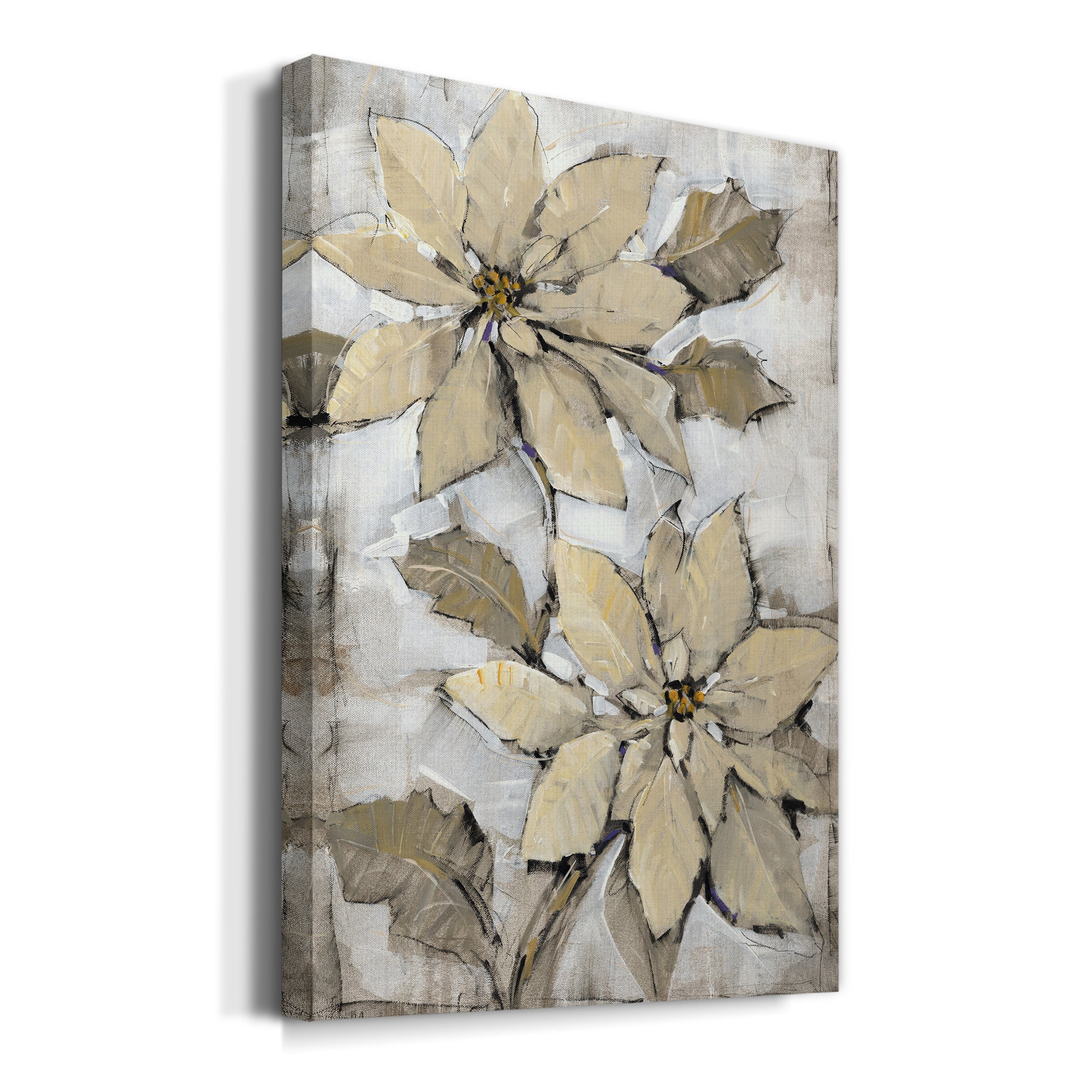 Poinsettia Study II Premium Gallery Wrapped Canvas - Ready to Hang