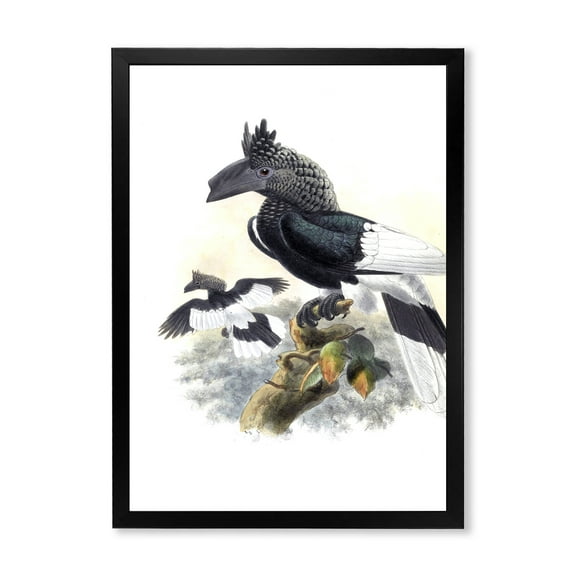 Designart 'Ancient Australian Birds XVI' Traditional Framed Art Print