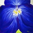 thumbnail image 2 of Lavoie, Tina 15x15 White Modern Wood Framed Museum Art Print Titled - Delphinium, 2 of 4