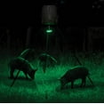 Moultrie MFA12651 MotionActivated LED Hog Feeder Light with 30Foot
