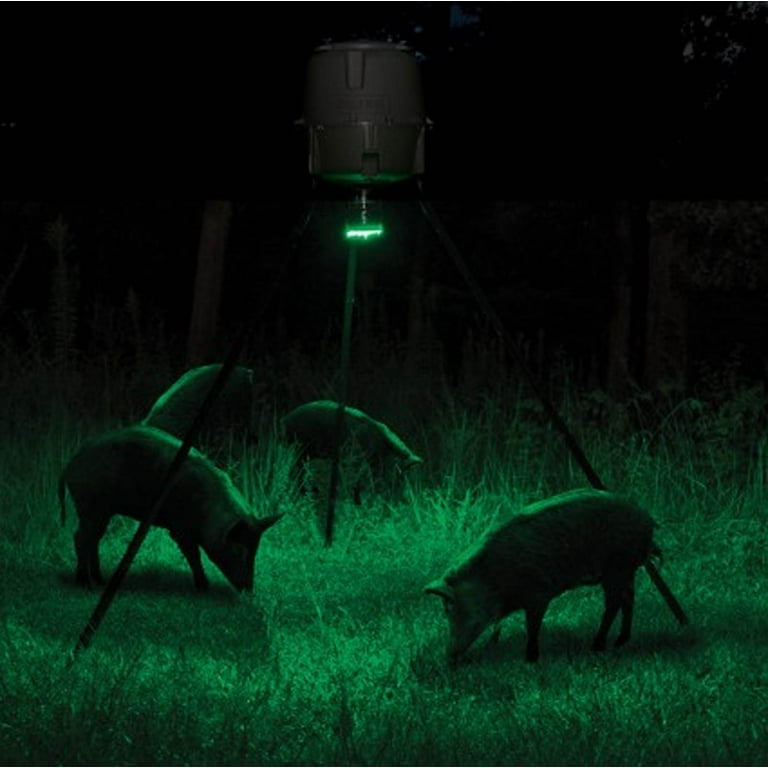 dialog Lav en seng Kæreste Moultrie MFA-12651 Motion-Activated LED Hog Feeder Light with 30-Foot  Radius - Walmart.com