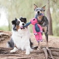 thumbnail image 4 of Floppy Knots Bunny Dog Toy  M/L, 4 of 5