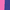 Denim Blue/Tropical Pink, variant on Wonder Nation Girls Bike Short with Side Pockets, 2-Pack, Sizes 4-18 & Plus