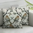 thumbnail image 2 of Nawypu  Adorable Bird Throw Pillow Cover Willow Branch Cute Robin Rustic Vintage Animal Watercolor Print Cozy Square Cushion Case for Men Women Boys Girls Room Home Decor 2pc, 2 of 6