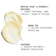thumbnail image 2 of Azorée Lab Eye Treatment Moisturizer, 15 mL Peptide-Enriched Cream for Dark Circles and Puffiness, Fragrance-Free, 2 of 5