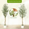 thumbnail image 3 of Olive Trees Artificial Indoor, 7FT Tall Faux Silk Plant White Planter, Fake Olive Trees with Natural Wood Trunk and Green Fake Moss for Home Office Decor, 3 of 6