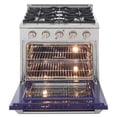 thumbnail image 5 of Pemberly Row 30" 4.2 cu. ft. Dual Fuel Range Natural Gas Sealed Burners in Blue., 5 of 15