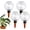 4 PCS, variant on Plant Self Watering Globes with Covers, 17.5oz Automatic Watering Planter Insert Top Fill with Slow Release Control Plants Watering Devices System (4 PCS)