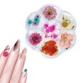 thumbnail image 1 of 1 Box Dried Flower 6 Grids Nails Decoration DIY Nails Art False Flowers for Women Manicure DIY Nail Decorations 02, 1 of 10
