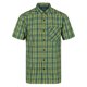 thumbnail image 1 of Regatta - Camisa Kalambo VI Cuadro para Hombre (Verde Pacífico), 1 of 4