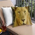 thumbnail image 1 of Ahgly Company Animals Lion Oreiller Extérieur 18 Pouces par 18 Pouces, 1 of 6