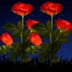 thumbnail image 1 of (Rojo) Paquete de 2 luces solares decorativas para exteriores, impermeables, 2 V, luces solares LED rosas para jardines, céspedes, campos, caminos y tablas., 1 of 5
