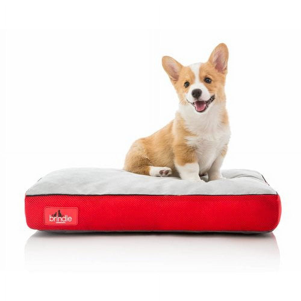 Brindle Soft Memory Foam Dog Bed with Removable Washable Cover