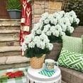 thumbnail image 3 of Morttic 2Pcs Artificial Geraniums Silk Flowers Outdoor Faux Flowers for Home Garden Patio Grave Vase Table Centerpiece Decoration, White, 3 of 5