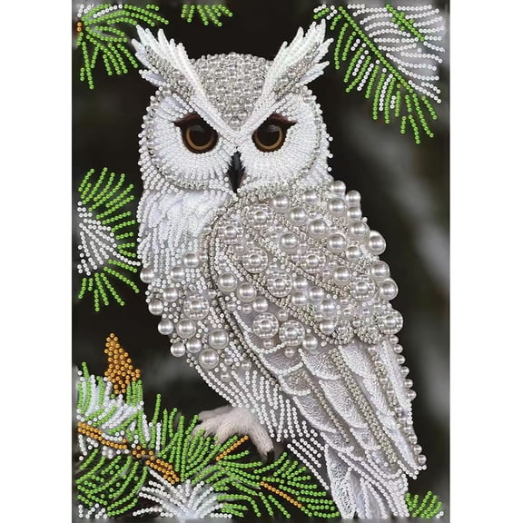 5D Diamond Art Pearl Painting Kits for Adults,Special Shape Diamond Art Kits for Owl, DIY 3D Plastic Pearl Painting Kit for Home Wall Decoration 12×16 inch