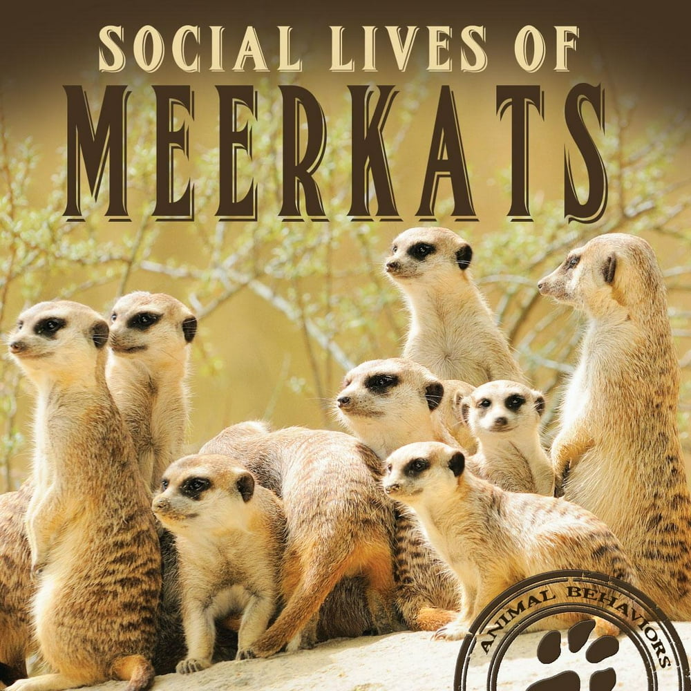 Animal Behaviors: Social Lives of Meerkats (Hardcover) - Walmart.com