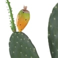 thumbnail image 6 of Artificial Cactus, 42" Tall Fake Big Cactus Plants, Faux Cacti Realistic Lifelike Cactus Plant For Home Office Shop Garden Indoor Outdoor Decoration, 6 of 9