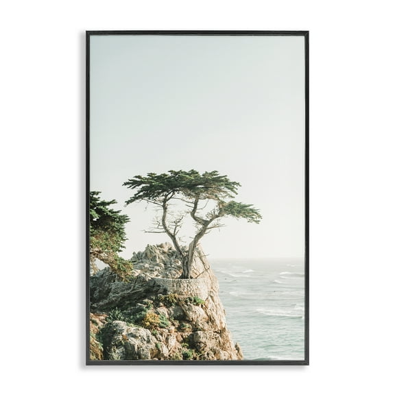 Stupell Industries Tree on Beachside Cliff Nautical & Beach Photography Black Framed Art Print Wall Art, 12 x 18