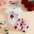 thumbnail image 3 of HCNTES Baby Girl Clothes 0 3 6 9 12 18 Months little love bug Ruffle Romper and Floral Short Sets Cute Baby Summer Outfit, 3 of 7