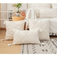 thumbnail image 4 of Boho Farmhouse Throw Cover Tassels Woven Tufted for Bed 30x50 B, 4 of 6